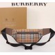 Burberryバーバリー財布 サイズ：19x13x5cm